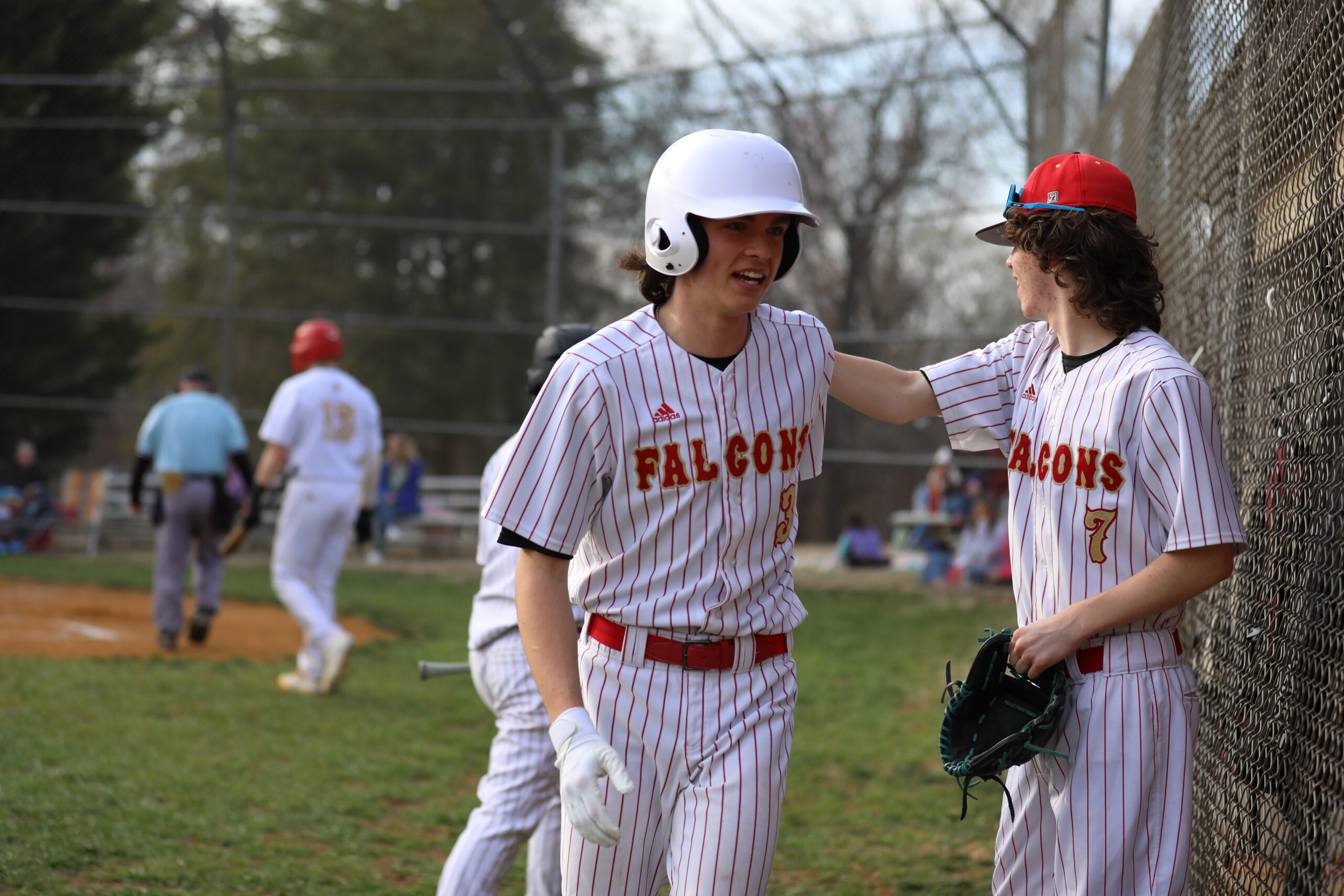 Fuqua Falcons Secure Regional Baseball Victory