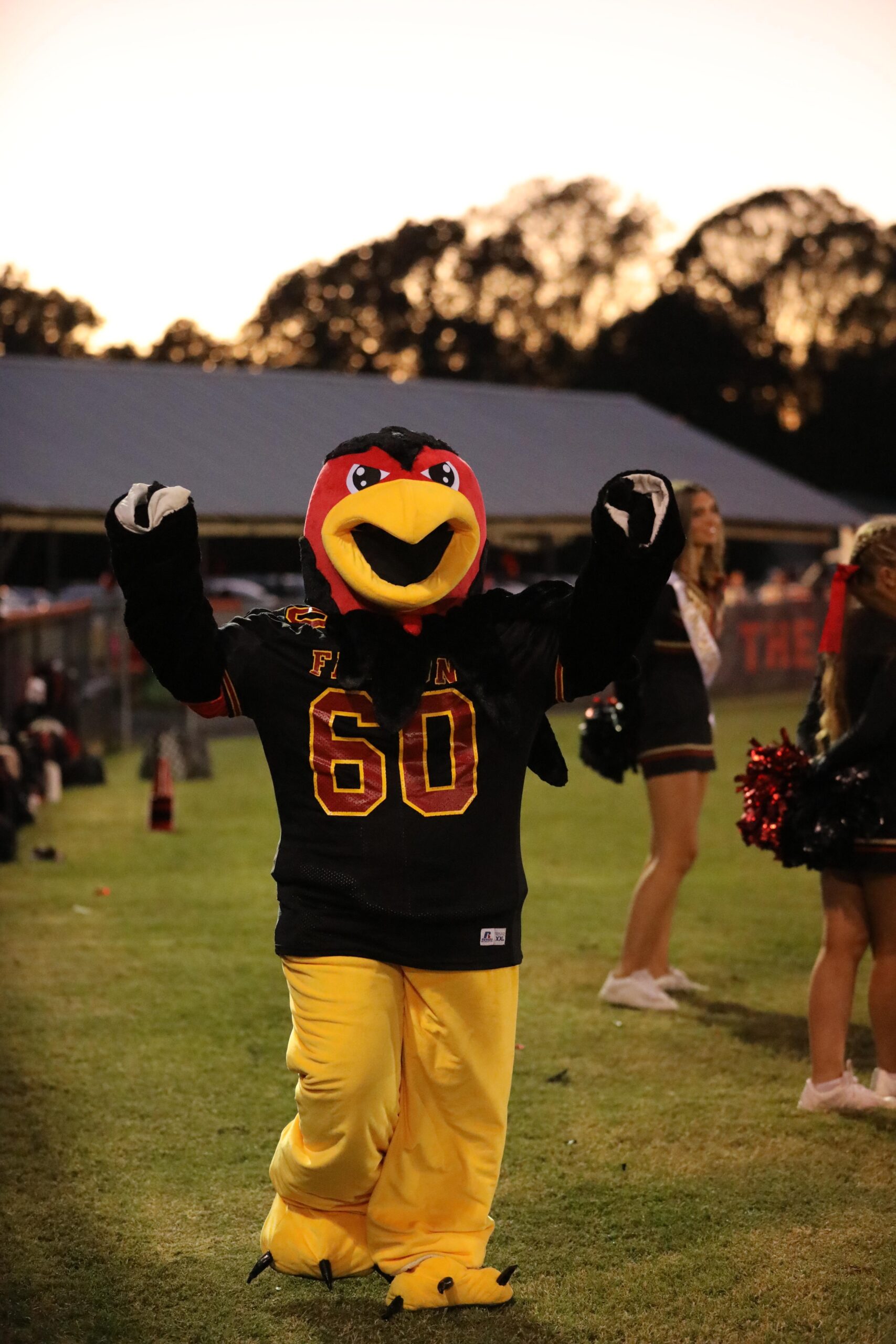 Donate to the Falcon Fund