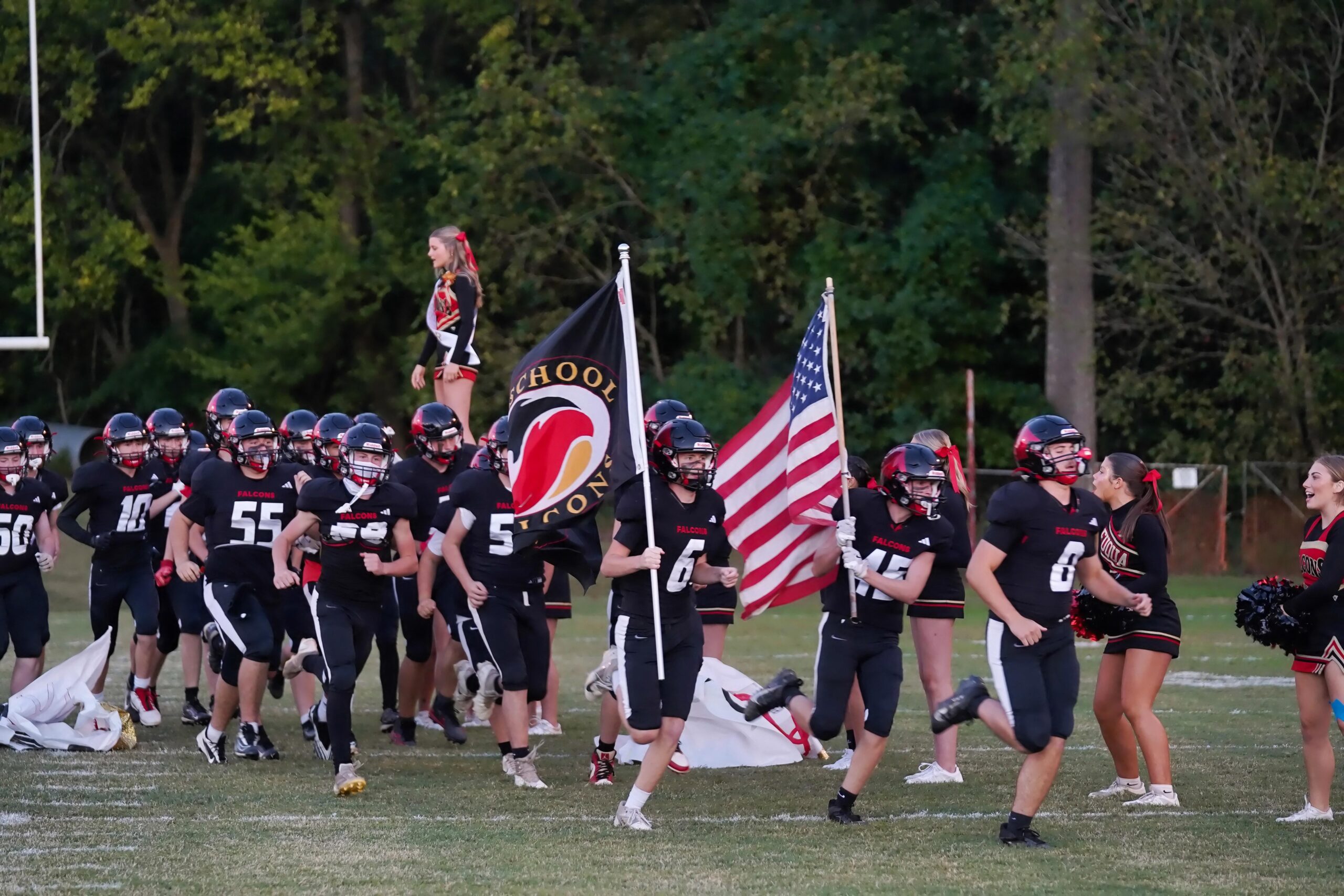 Falcon Pride